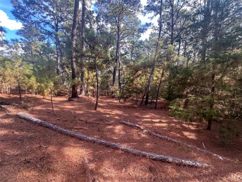 Lot 85 Hill Ridge Drive Bastrop TX 78602