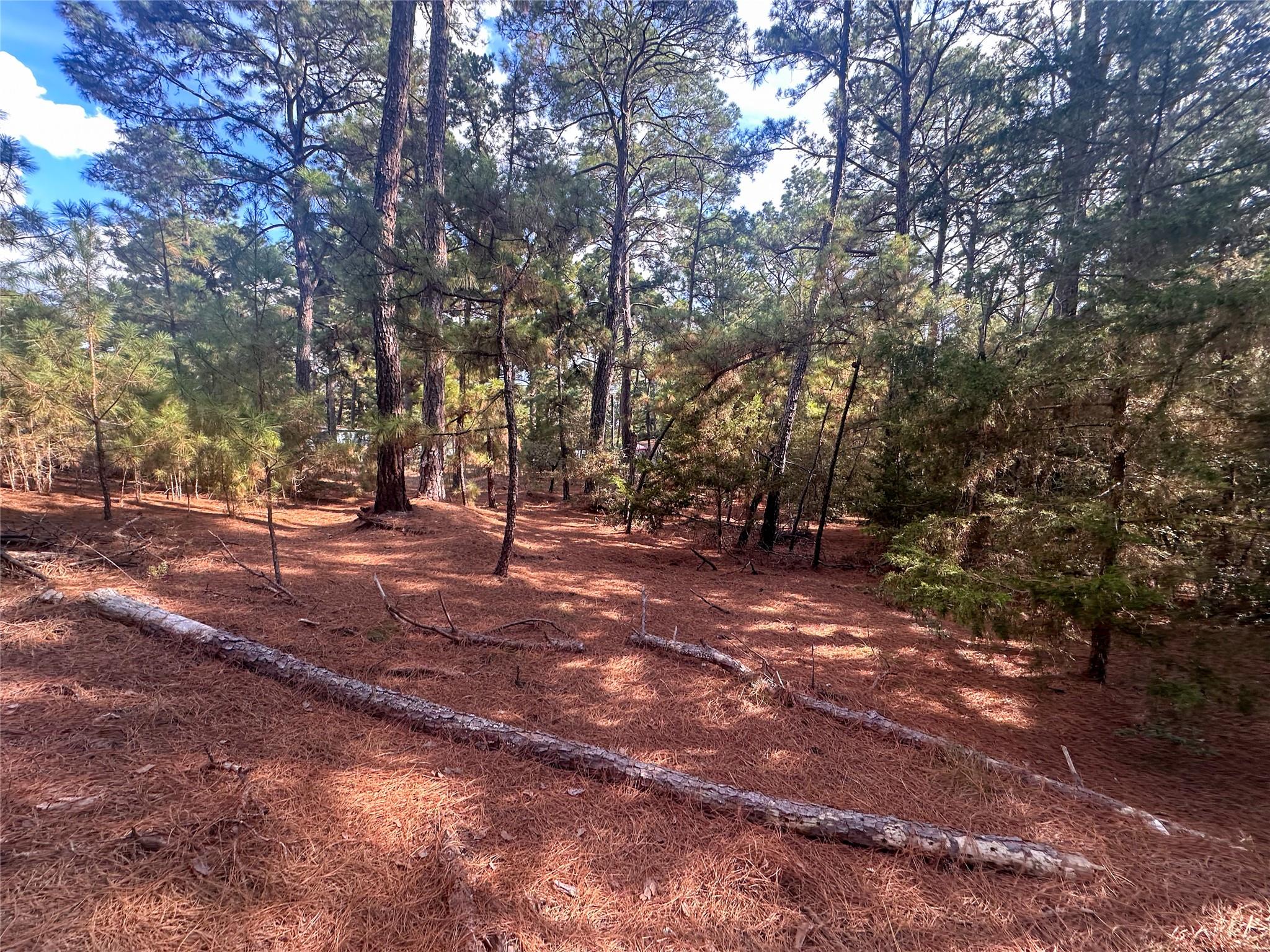 Lot 85 Hill Ridge Drive Bastrop TX 78602