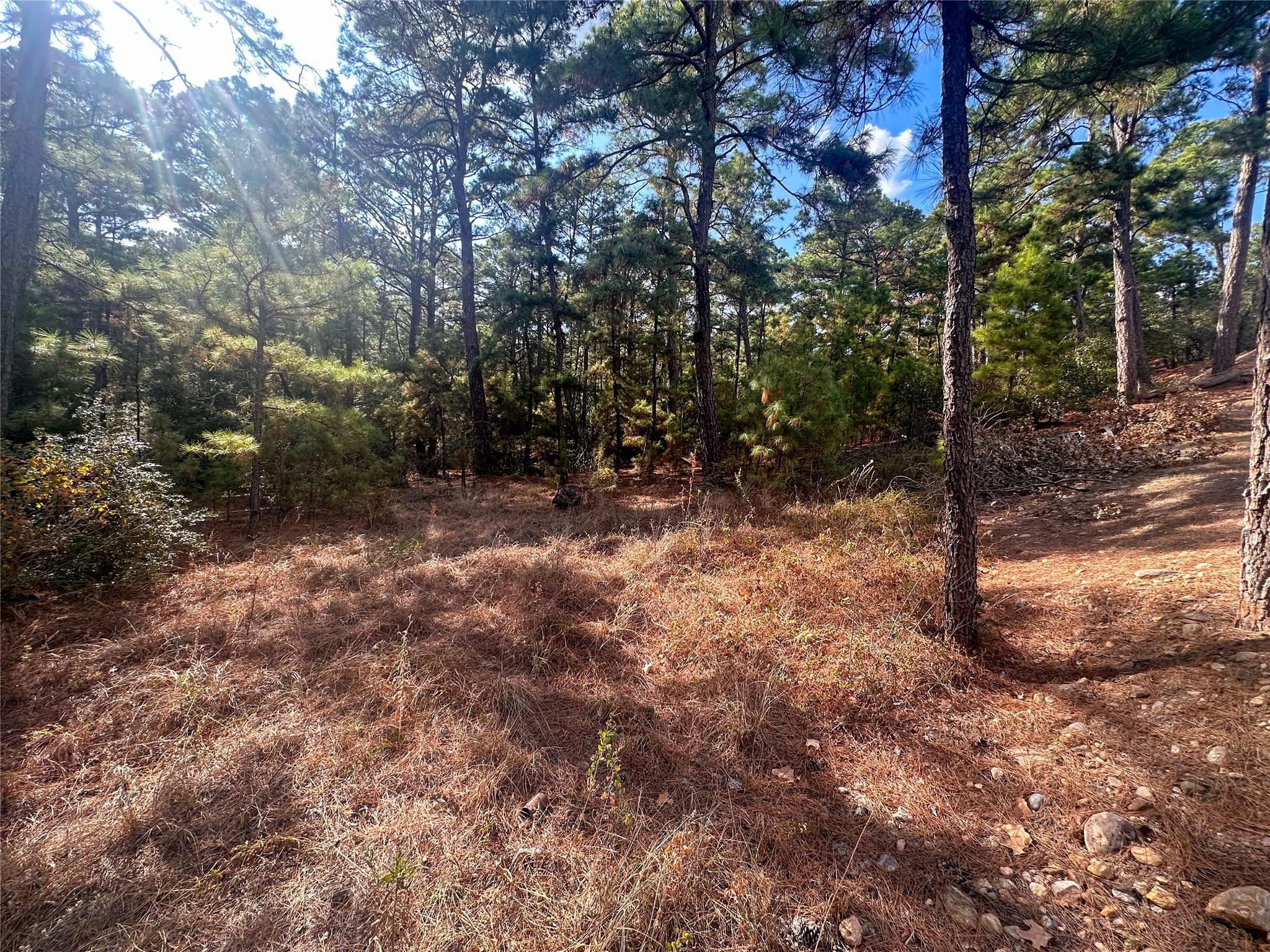Lot 85 Hill Ridge Drive Bastrop TX 78602