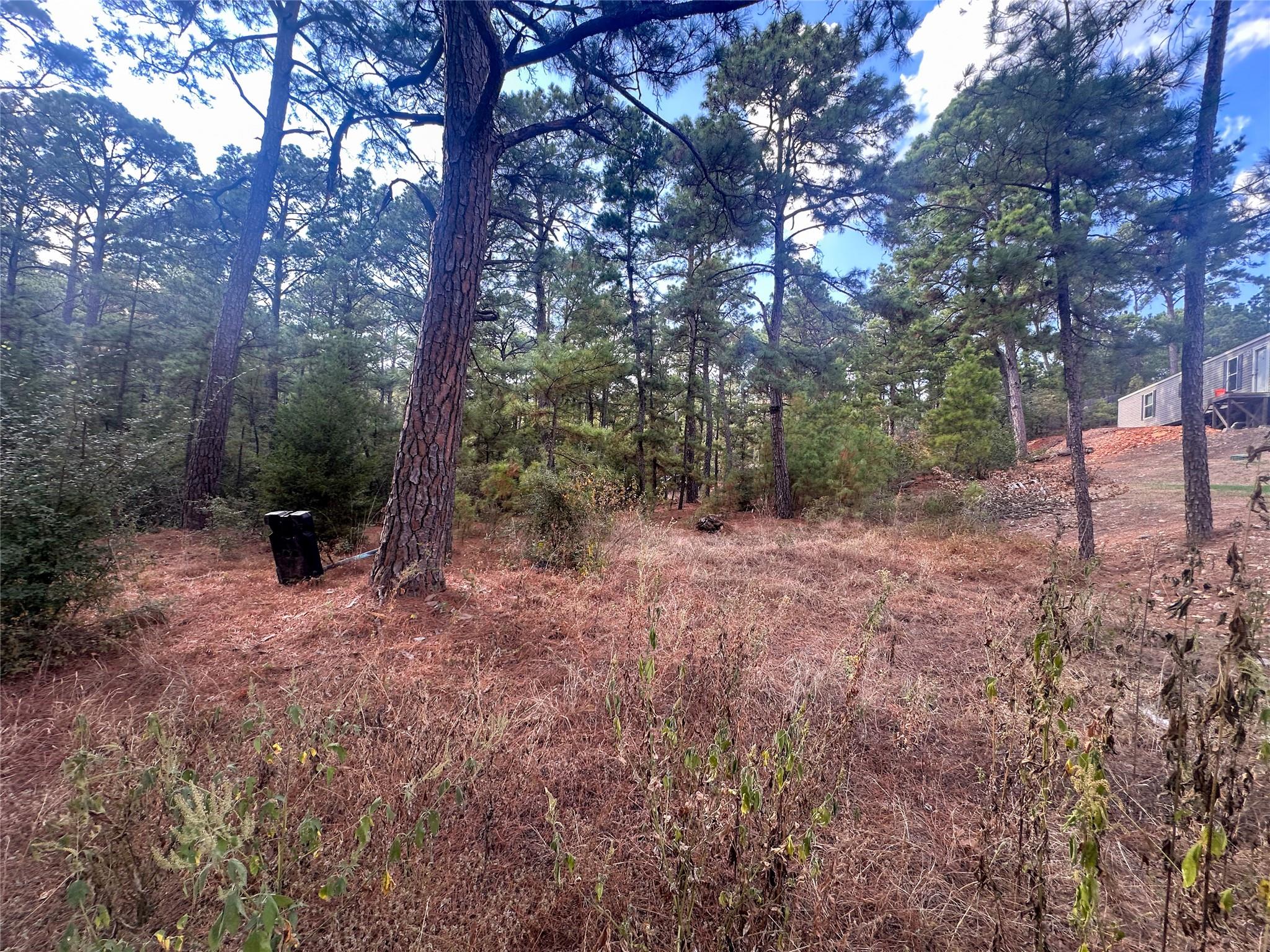 Lot 85 Hill Ridge Drive Bastrop TX 78602