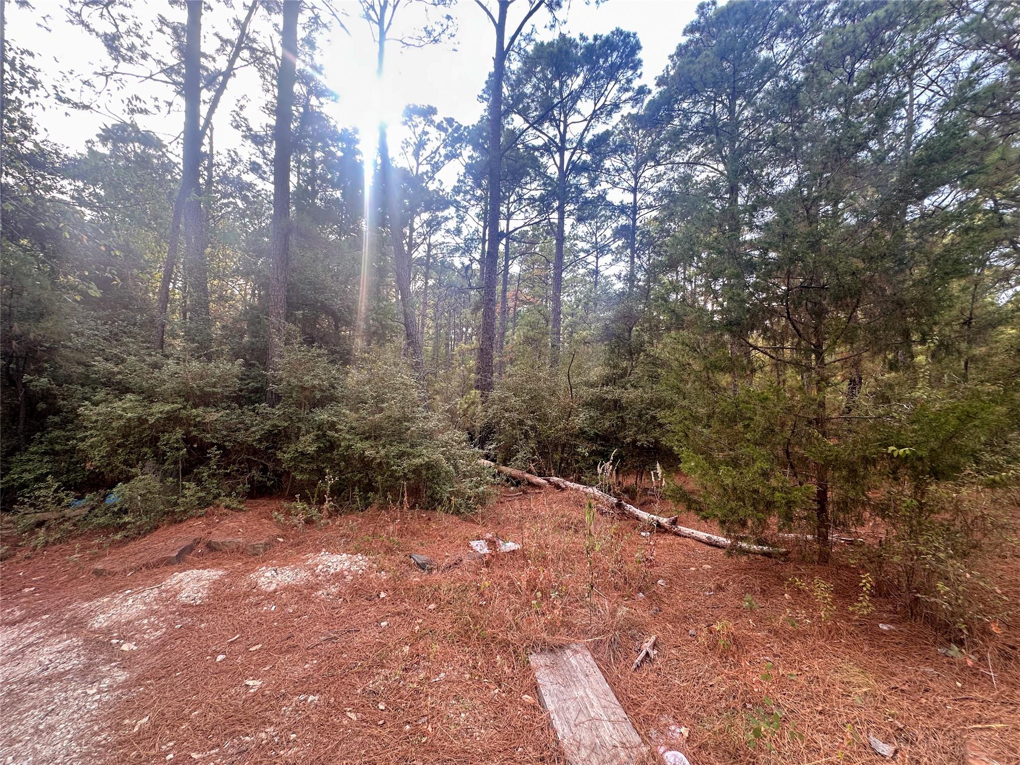 Lot 85 Hill Ridge Drive Bastrop TX 78602