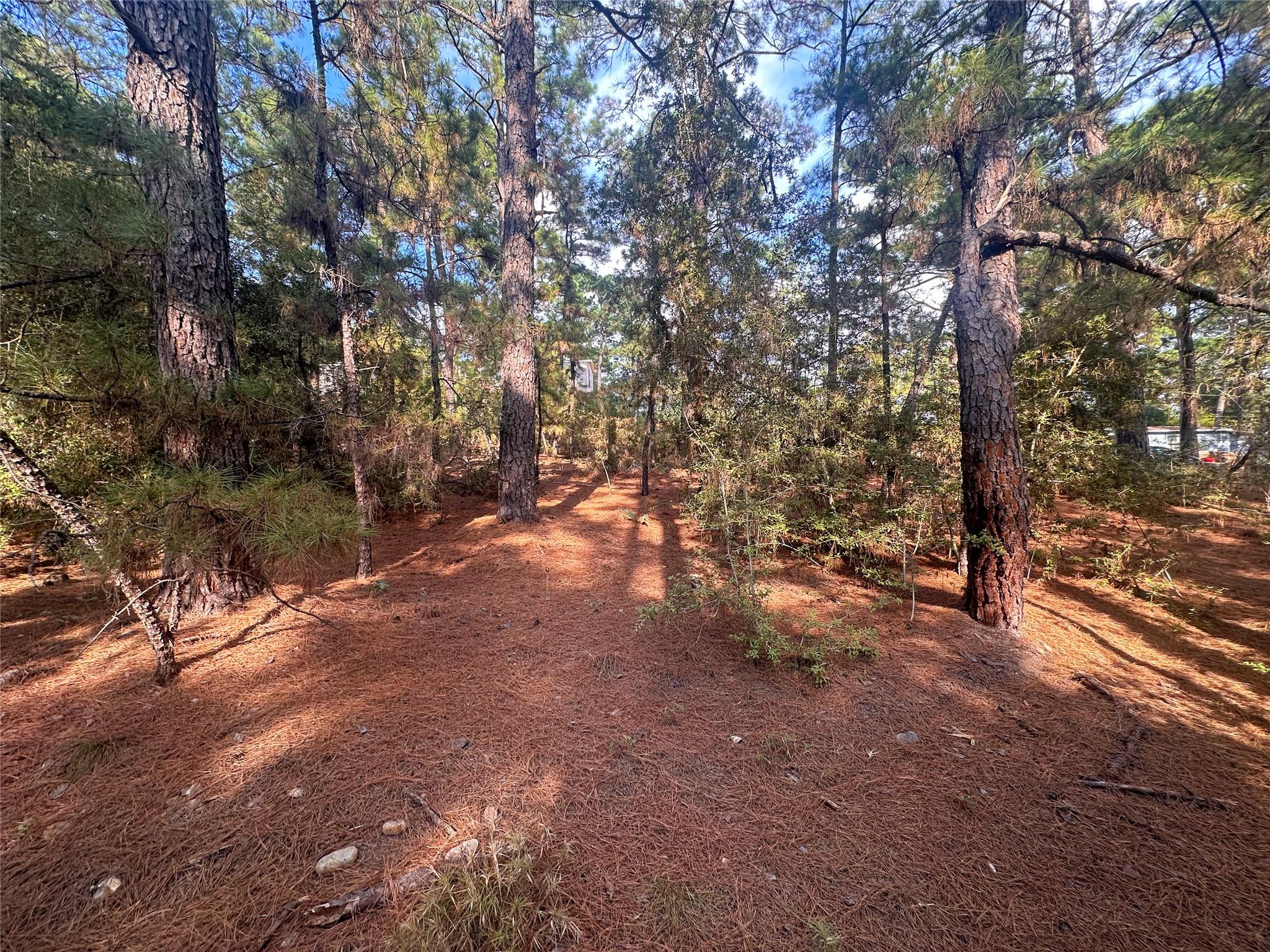Lot 85 Hill Ridge Drive Bastrop TX 78602