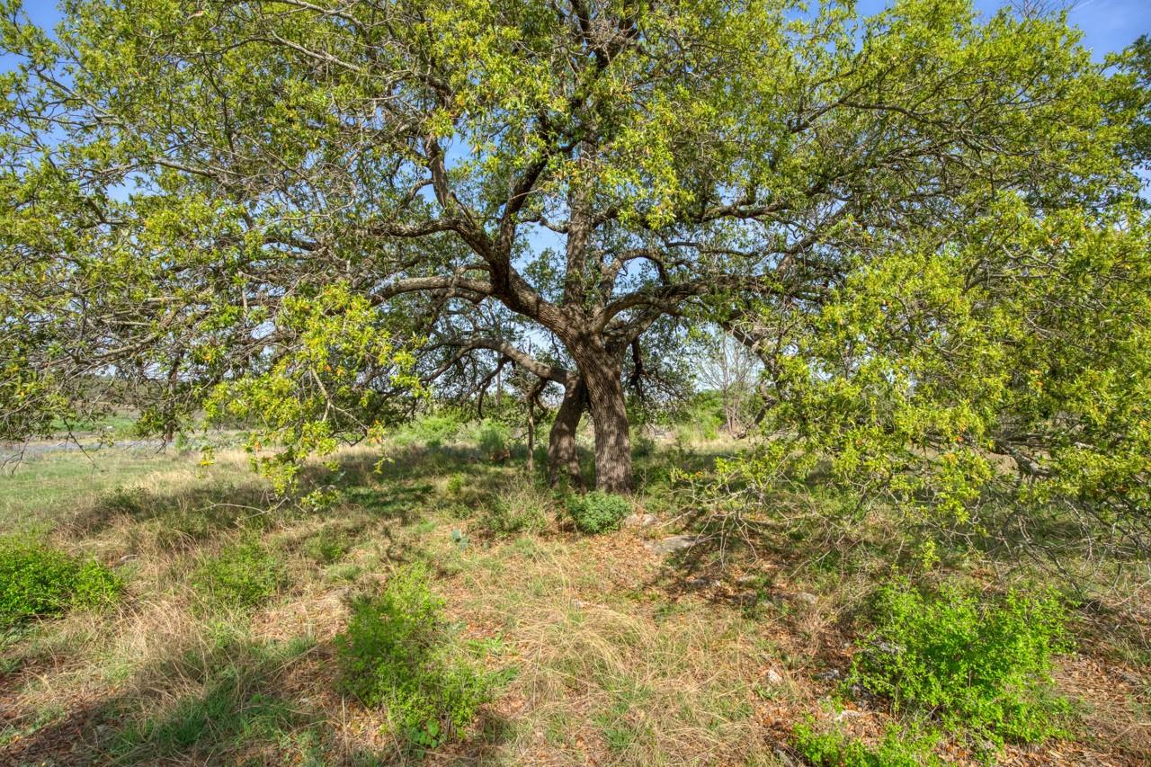 158 One River Point E Johnson City TX 78636