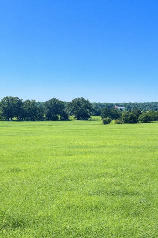 Tbd (+/- 38.77 Acres) Andreski Road Bremond TX 76629
