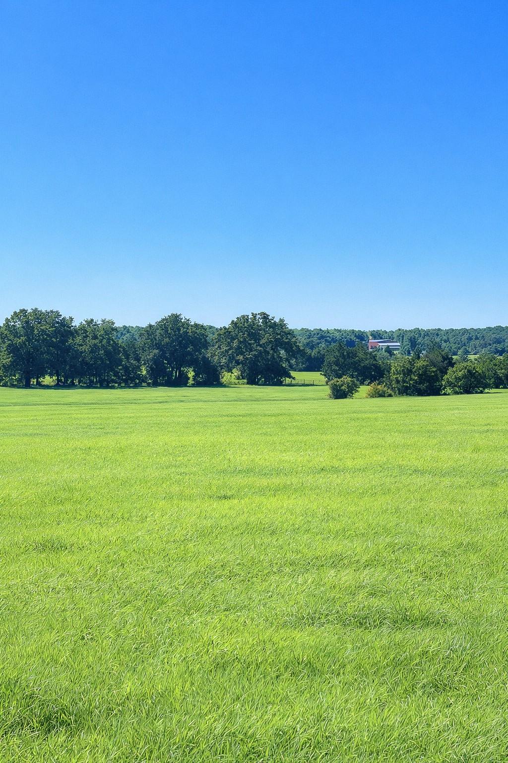 Tbd (+/- 38.77 Acres) Andreski Road Bremond TX 76629