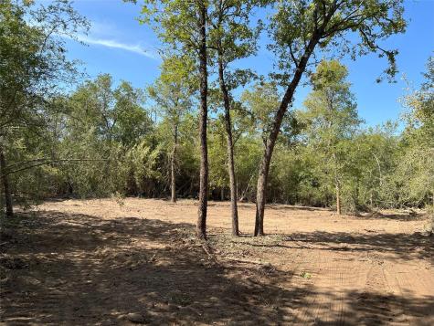 Lot 29d Mesquite Drive Cedar Creek TX 78612