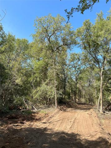 Lot 29d Mesquite Drive Cedar Creek TX 78612