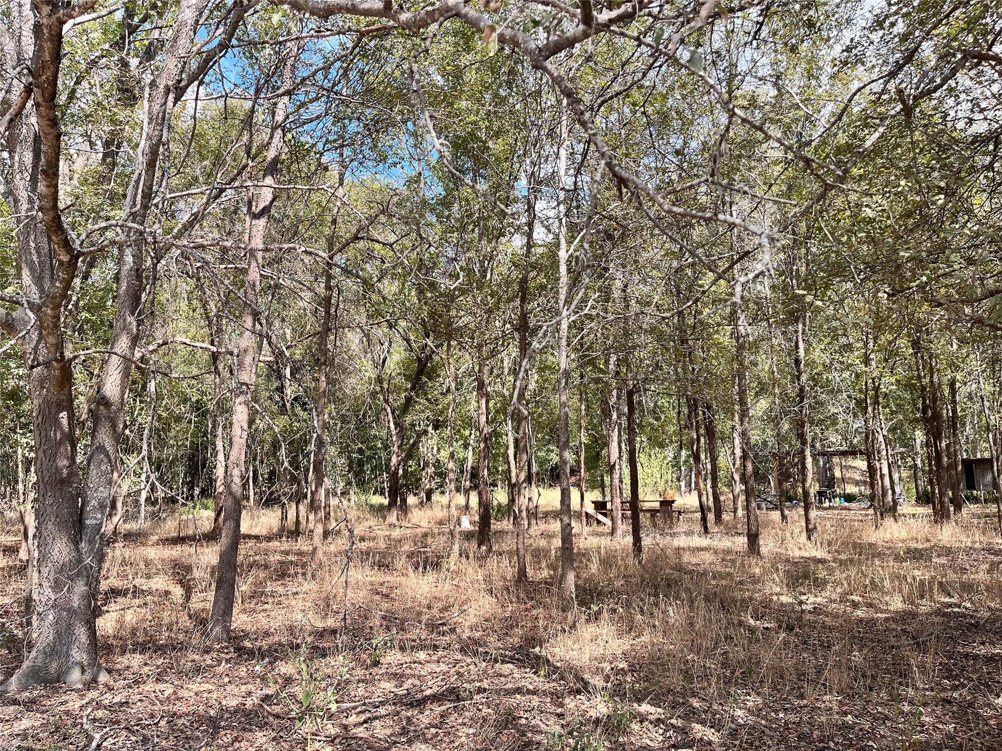 Tbd Hidden Shores Loop Smithville TX 78957