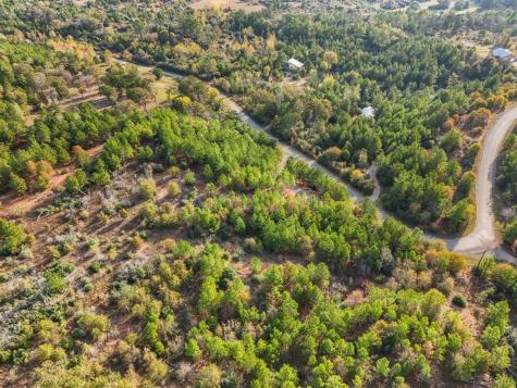 Tbd Winfield Thicket Road Smithville TX 78602
