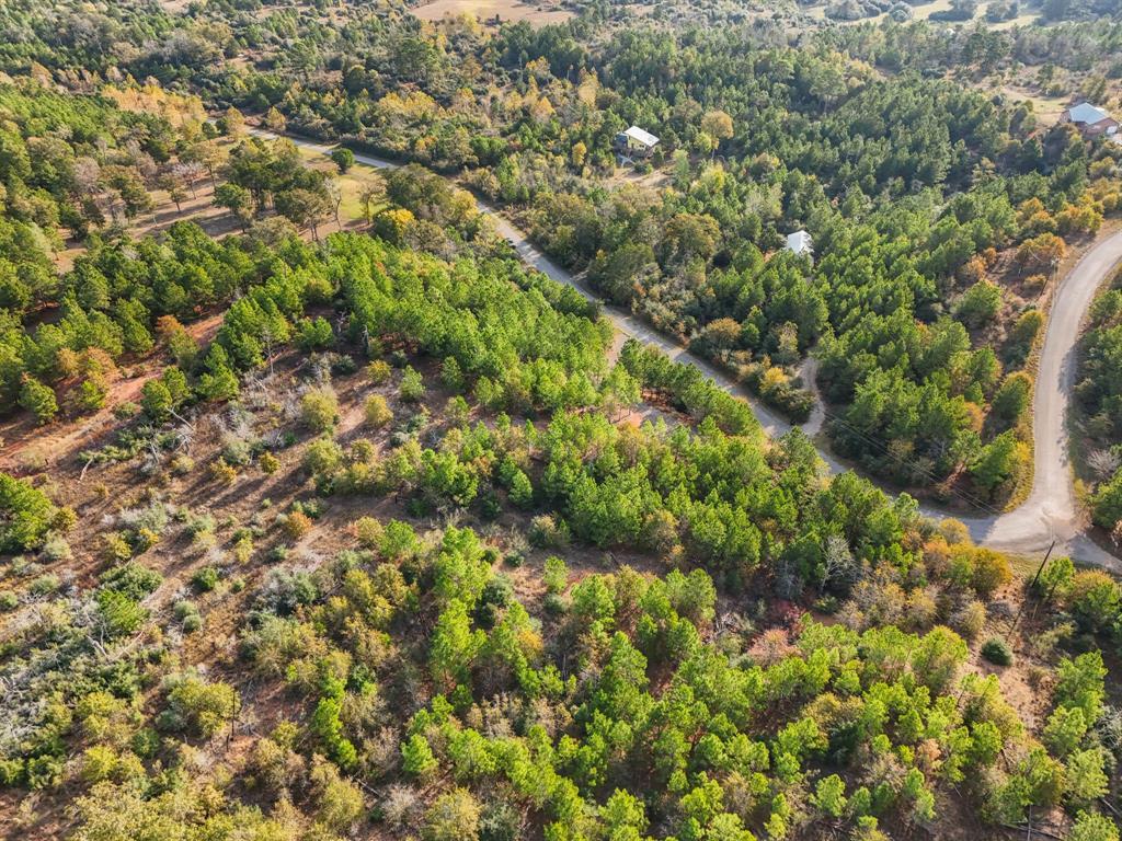 Tbd Winfield Thicket Road Smithville TX 78602