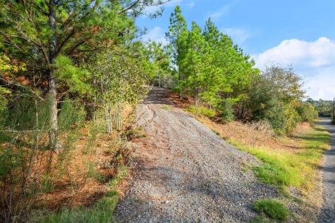 Tbd Winfield Thicket Road Smithville TX 78602
