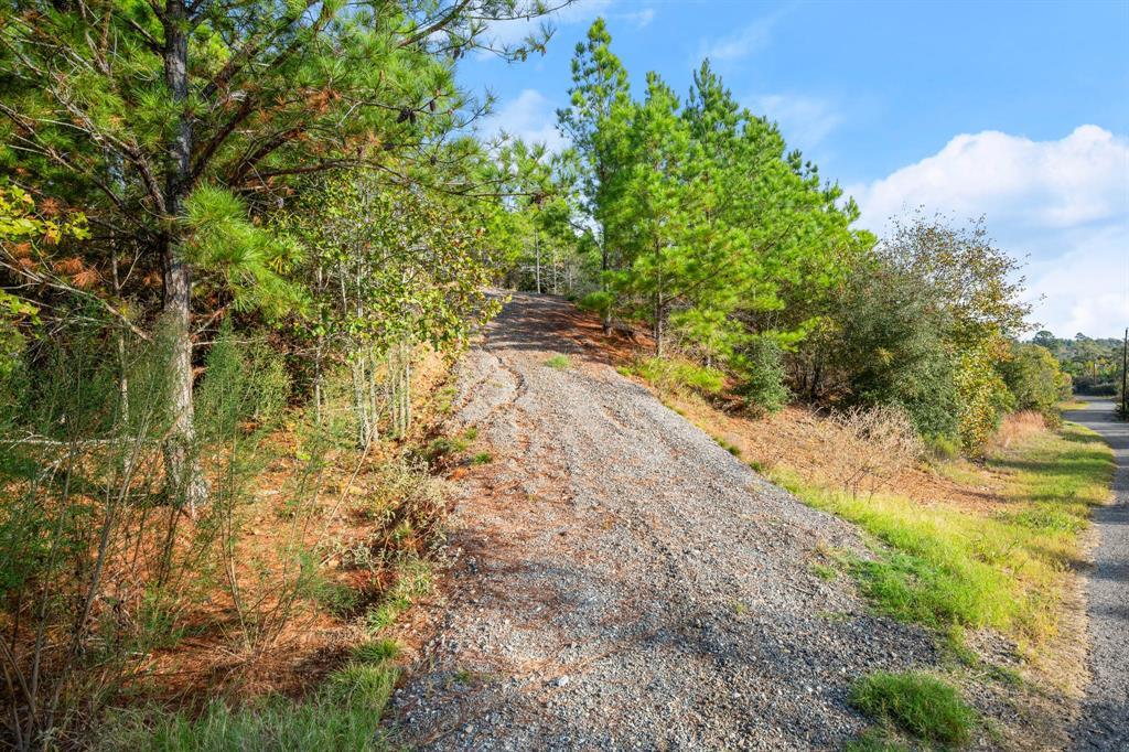 Tbd Winfield Thicket Road Smithville TX 78602