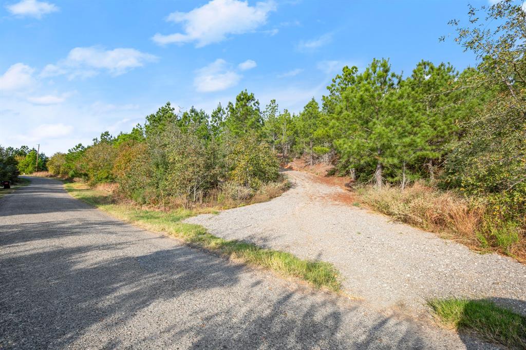 Tbd Winfield Thicket Road Smithville TX 78602