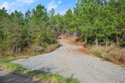 Tbd Winfield Thicket Road Smithville TX 78602
