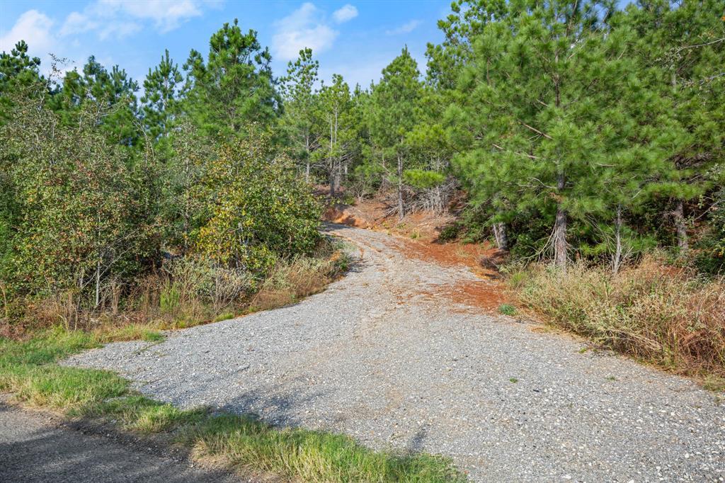 Tbd Winfield Thicket Road Smithville TX 78602