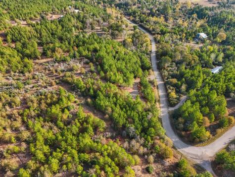 Tbd Winfield Thicket Road Smithville TX 78602