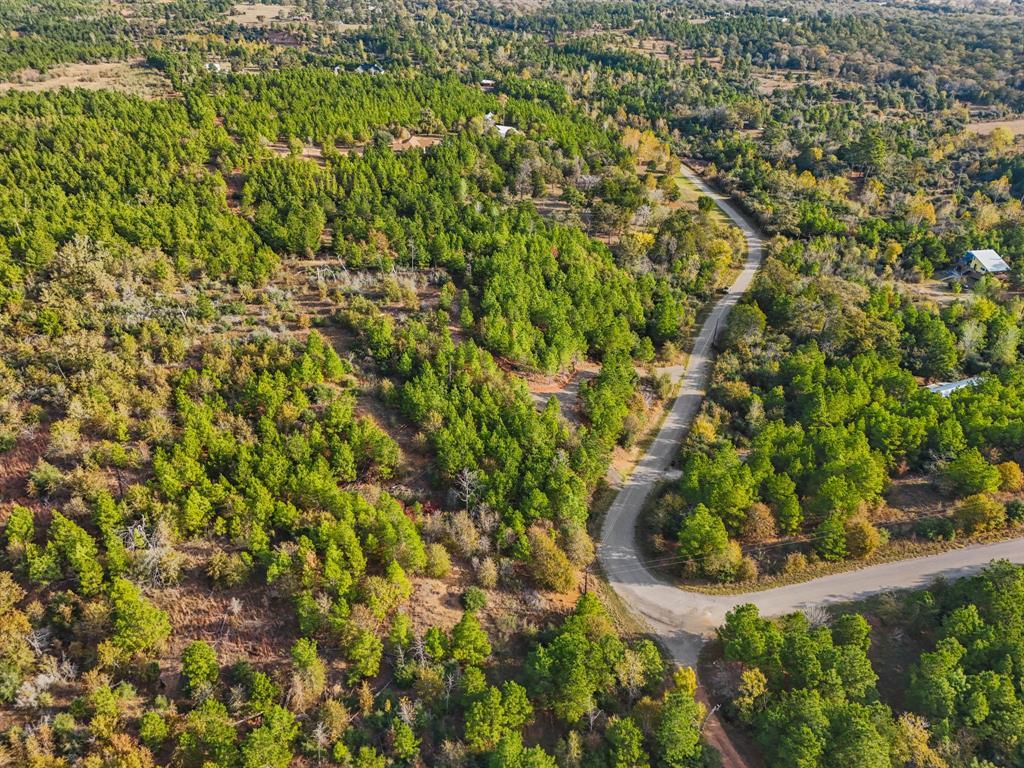 Tbd Winfield Thicket Road Smithville TX 78602