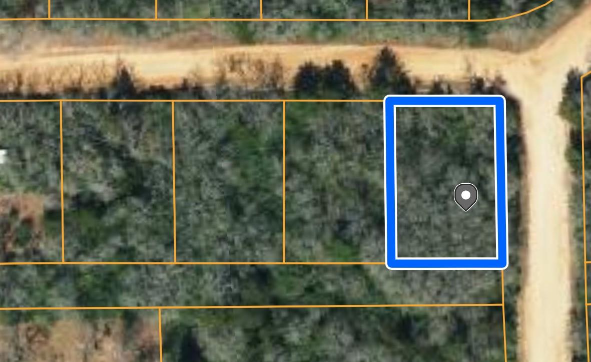 Tbd Navarro Drive Hilltop Lakes TX 77871