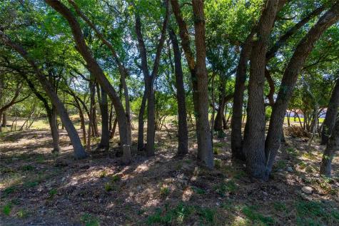 420 Blanco River Ranch Boulevard San Marcos TX 78666