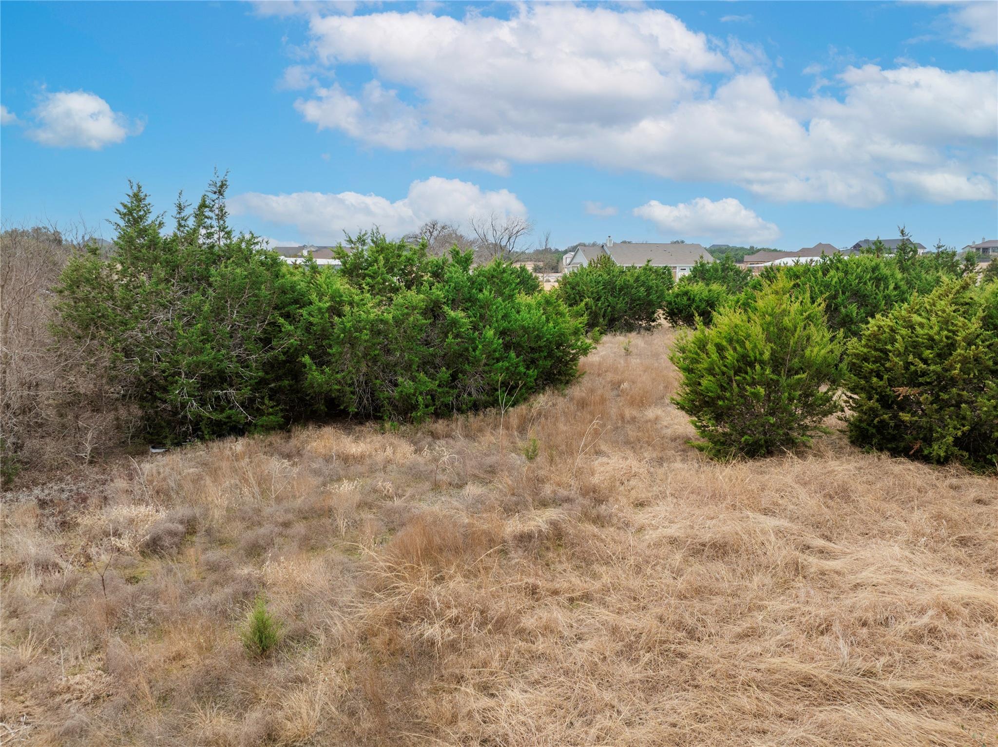 220 Lantana Bud Trail Liberty Hill TX 78642