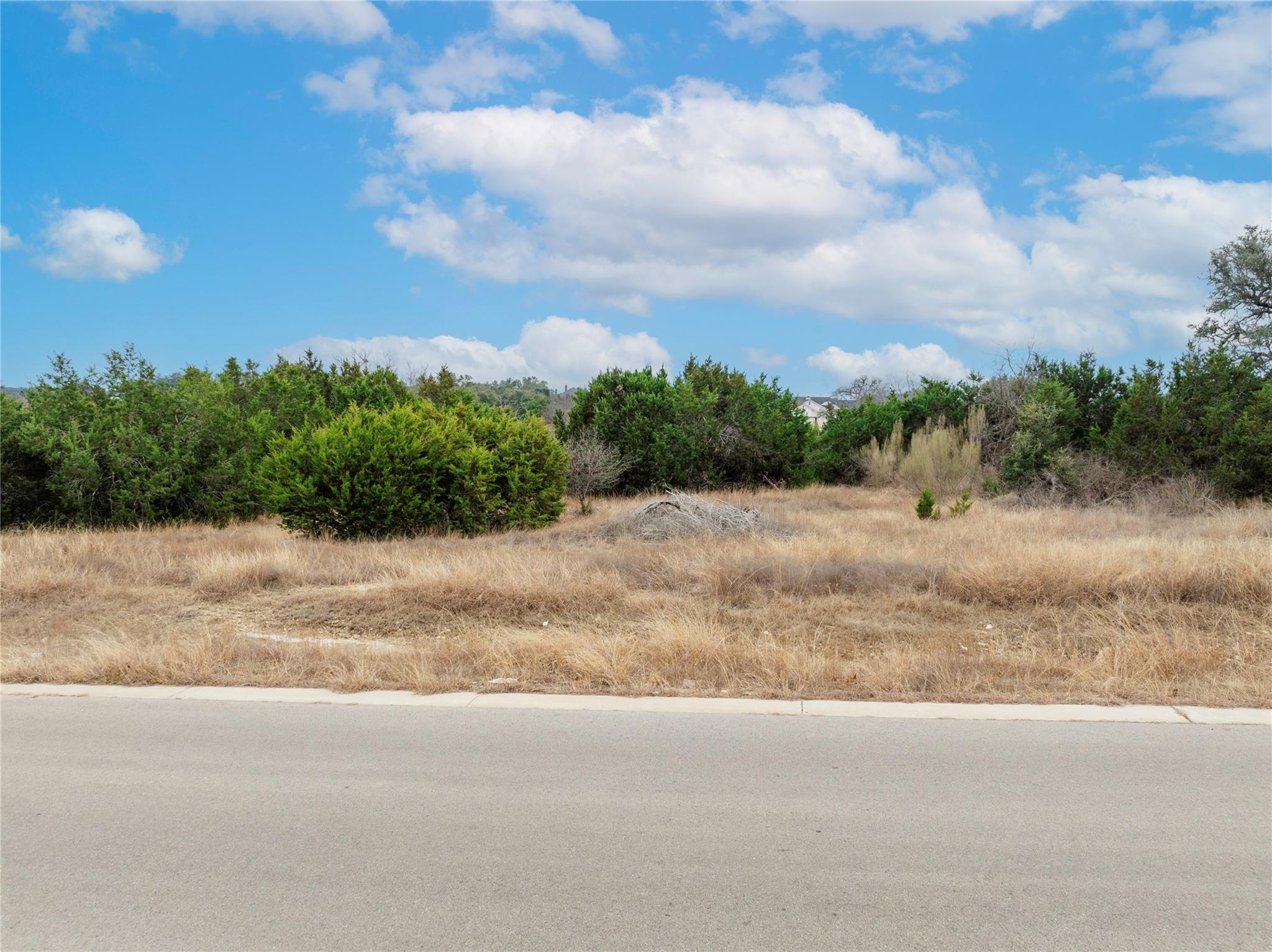 220 Lantana Bud Trail Liberty Hill TX 78642