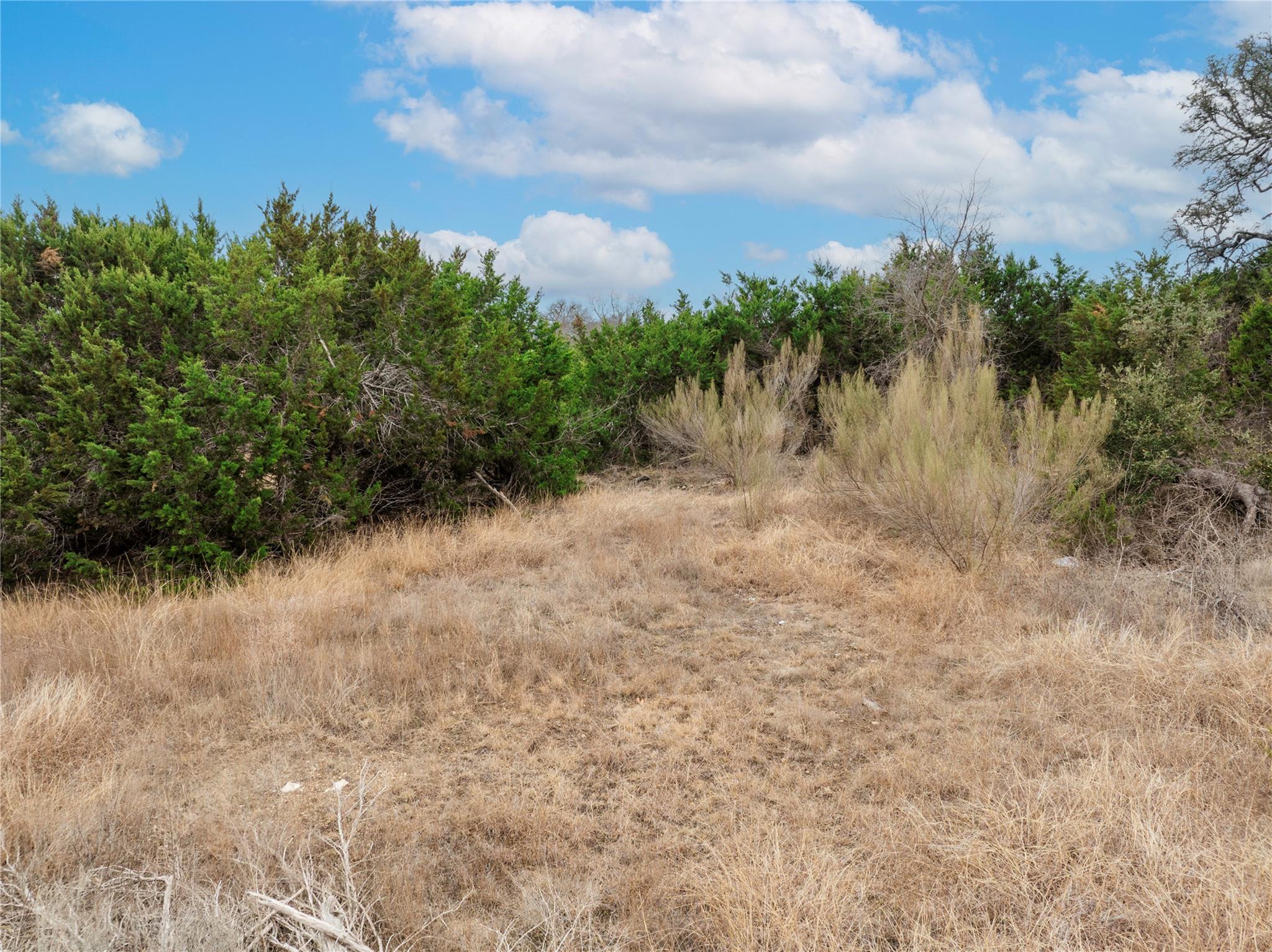 220 Lantana Bud Trail Liberty Hill TX 78642