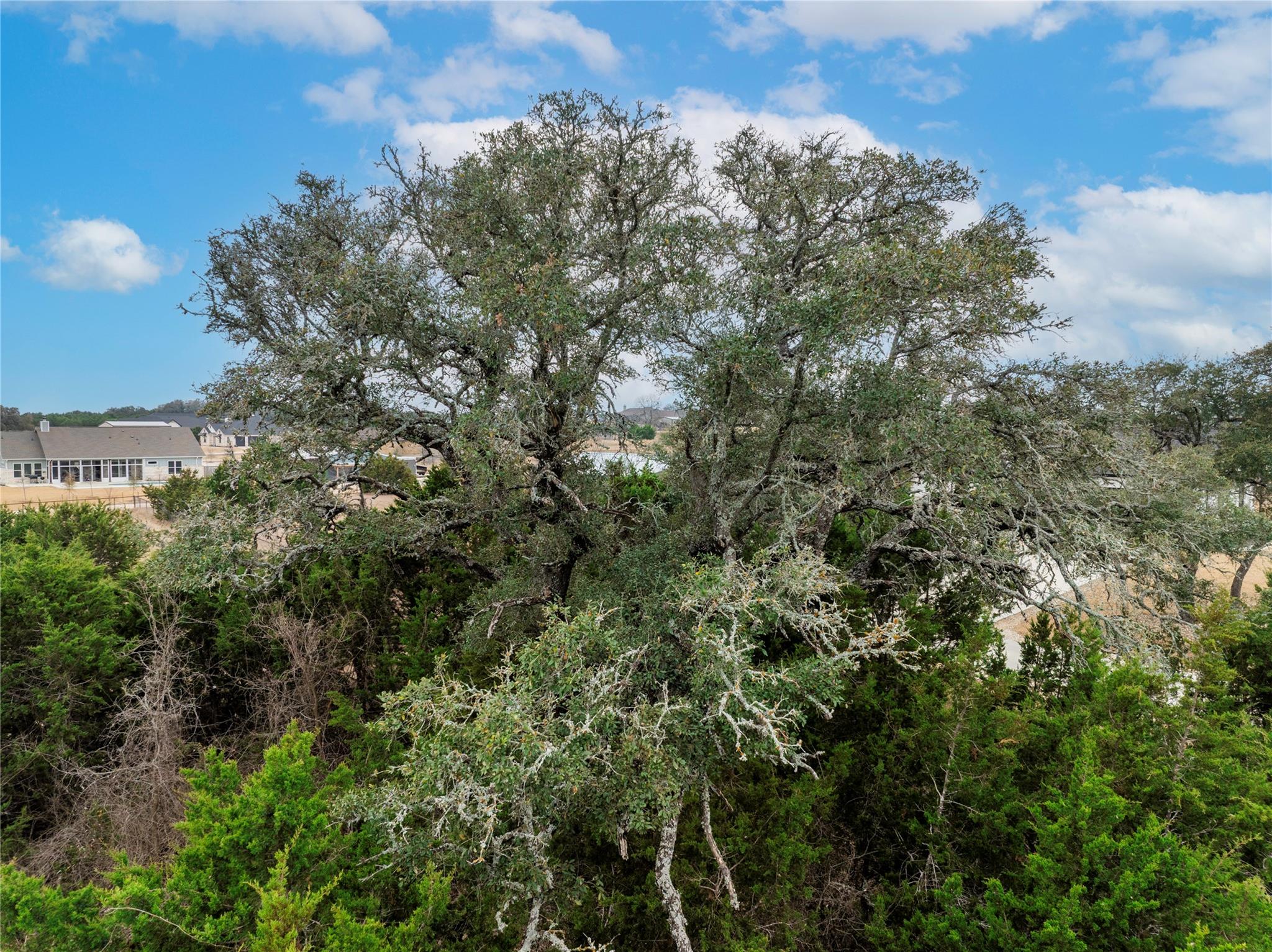 220 Lantana Bud Trail Liberty Hill TX 78642