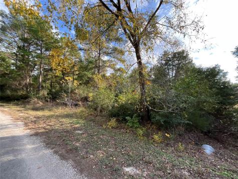 120 Shore Front Drive Bastrop TX 78602