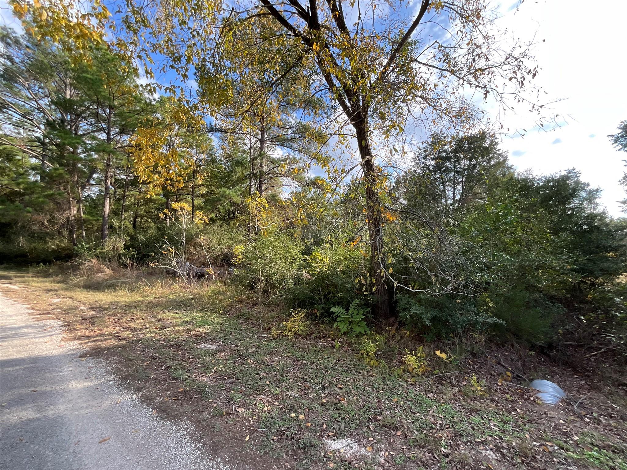 120 Shore Front Drive Bastrop TX 78602