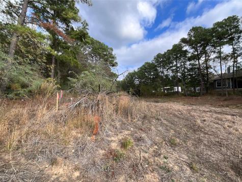 120 Shore Front Drive Bastrop TX 78602