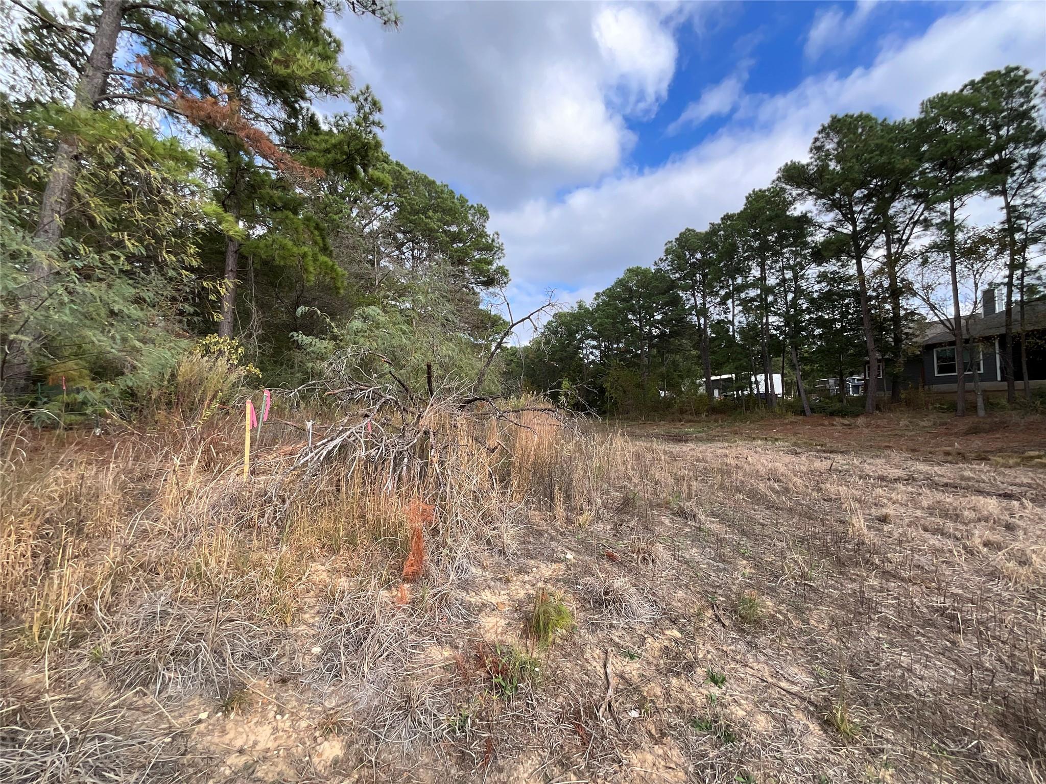 120 Shore Front Drive Bastrop TX 78602