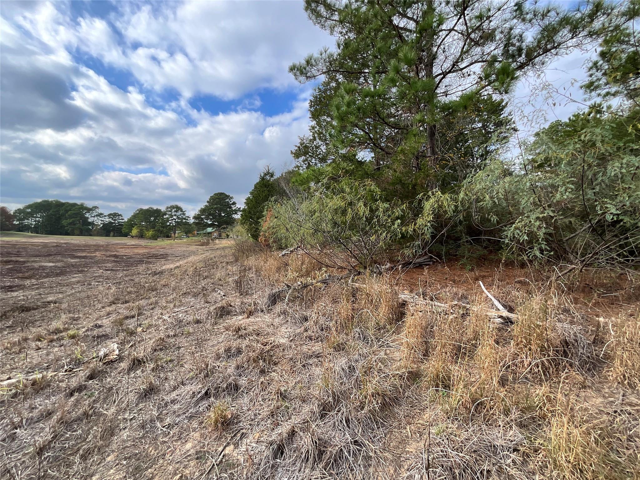 120 Shore Front Drive Bastrop TX 78602