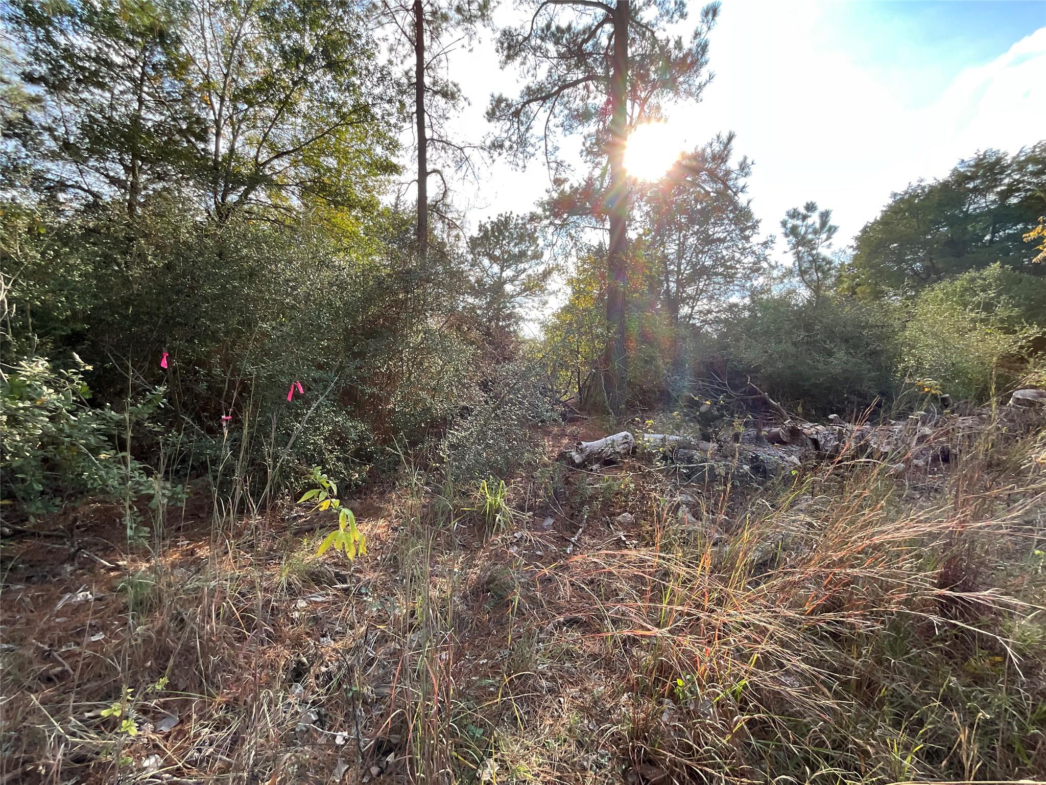 120 Shore Front Drive Bastrop TX 78602