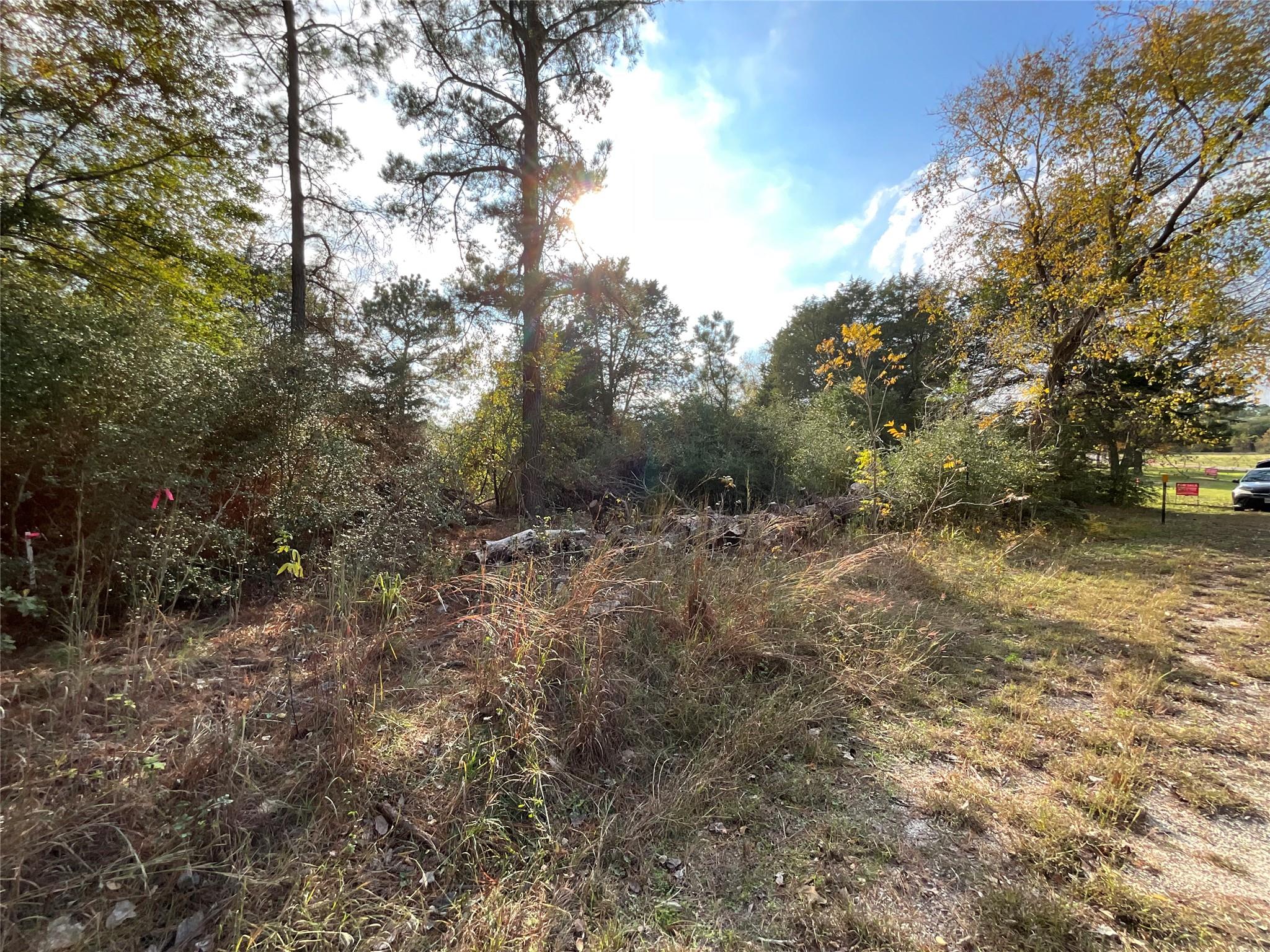 120 Shore Front Drive Bastrop TX 78602