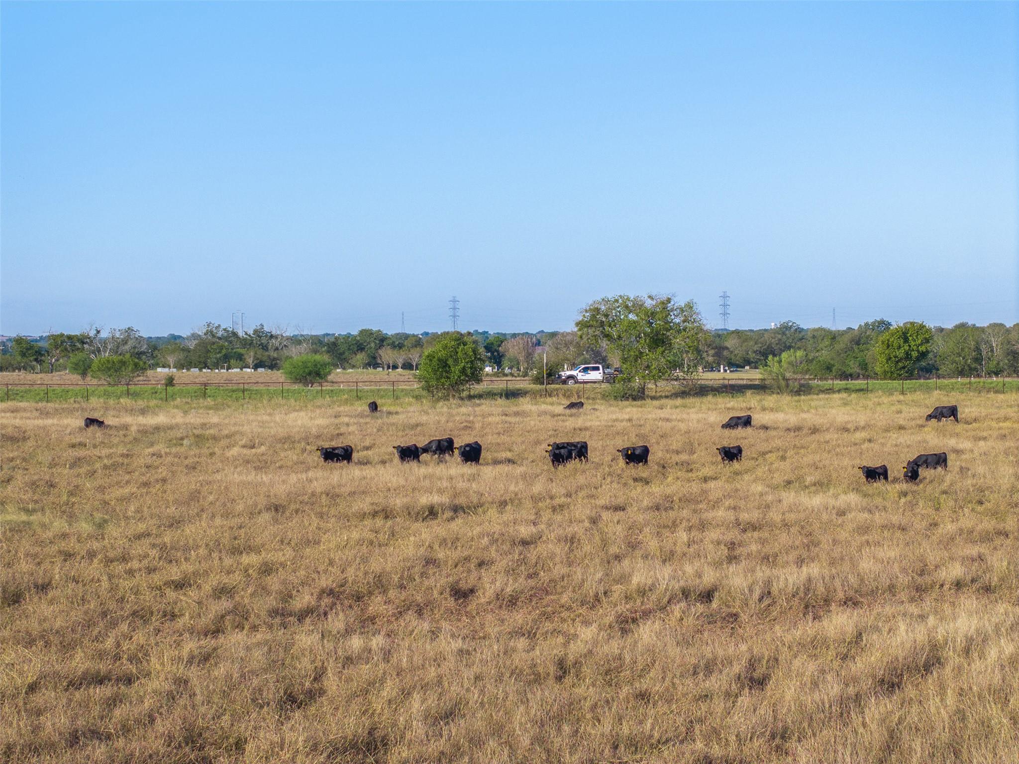 15350 San Marcos Highway Martindale TX 78655