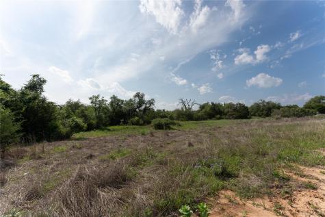 143 Prairie Grass Cove Driftwood TX 78619