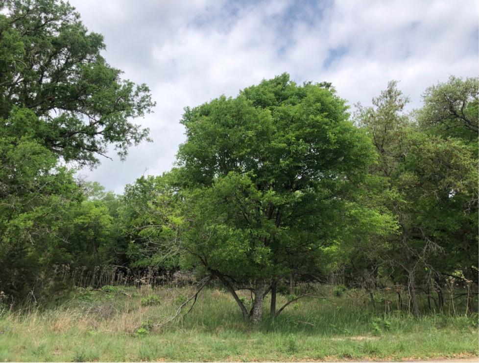 76 E Valley Springs Road Wimberley TX 78676