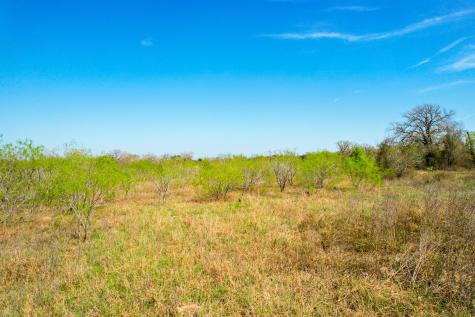 6641 Taylorsville Road Dale TX 78616