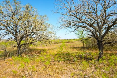 6641 Taylorsville Road Dale TX 78616