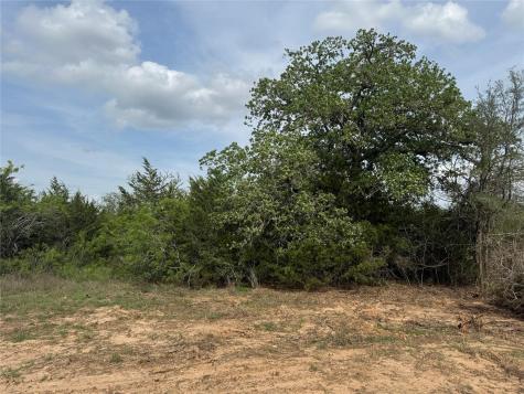 152 Della Lane Cedar Creek TX 78612
