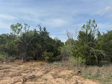 152 Della Lane Cedar Creek TX 78612