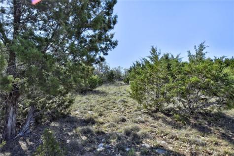 Lot 4 Hidden Valley Ranch Road Johnson City TX 78636