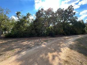529 Madison Street Elgin TX 78621