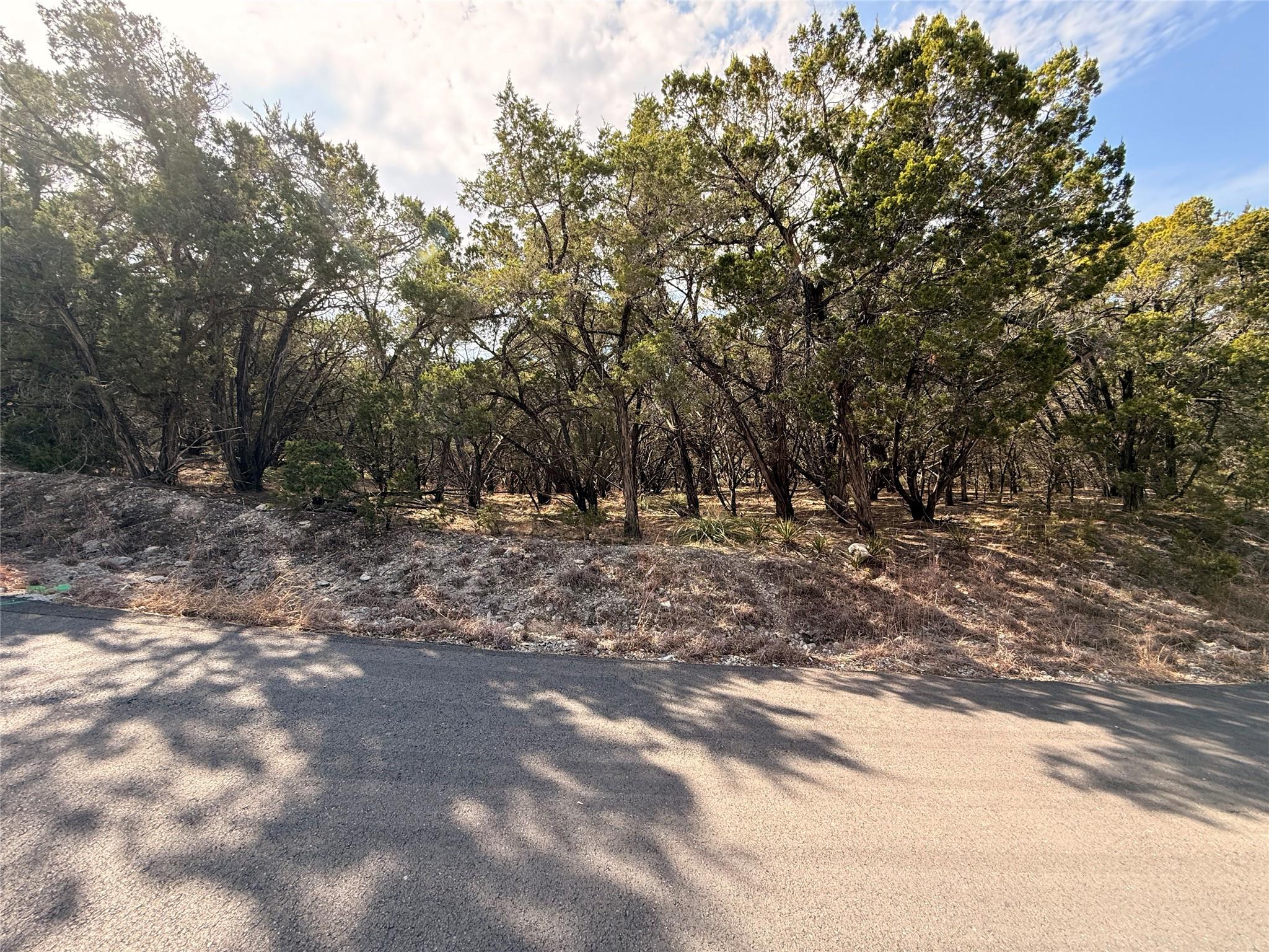 20705 Post Oak Drive Lago Vista TX 78645