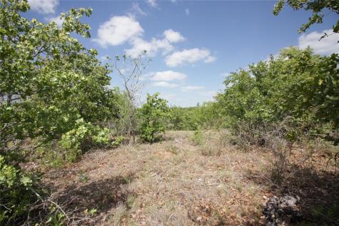 Tbd River Forest Drive Bastrop TX 78602