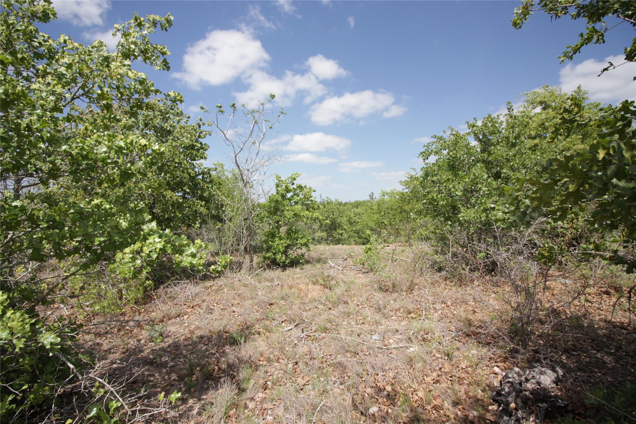 Tbd River Forest Drive Bastrop TX 78602