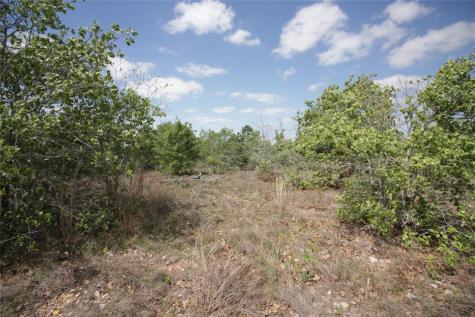Tbd River Forest Drive Bastrop TX 78602