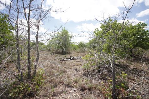 Tbd River Forest Drive Bastrop TX 78602
