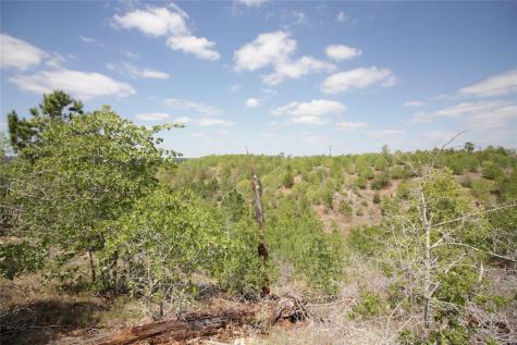 Tbd River Forest Drive Bastrop TX 78602