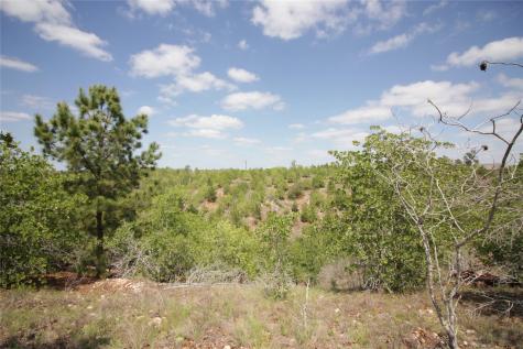 Tbd River Forest Drive Bastrop TX 78602